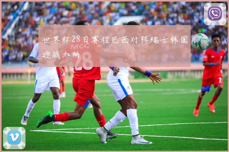 世界杯28日赛程巴西对阵瑞士韩国迎战加纳