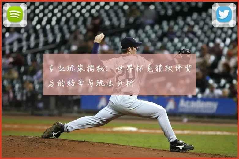 专业玩家揭秘:世界杯竞猜软件背后的赔率与玩法分析